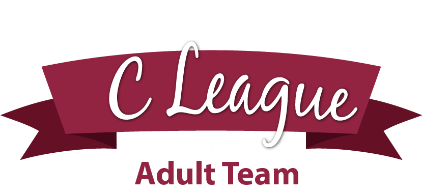 We're looking for a C League Adult Team